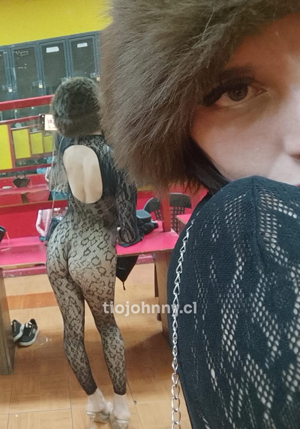 Cleo — foto 8