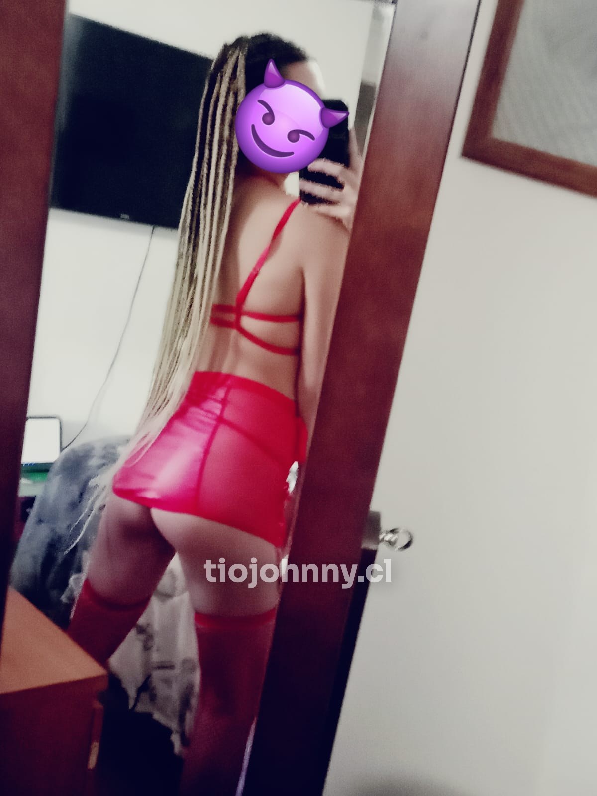 Delfina — foto 5